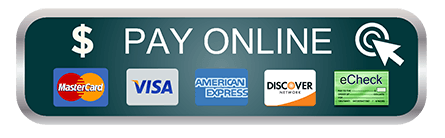 Pay Online - With examples of electronic payment options